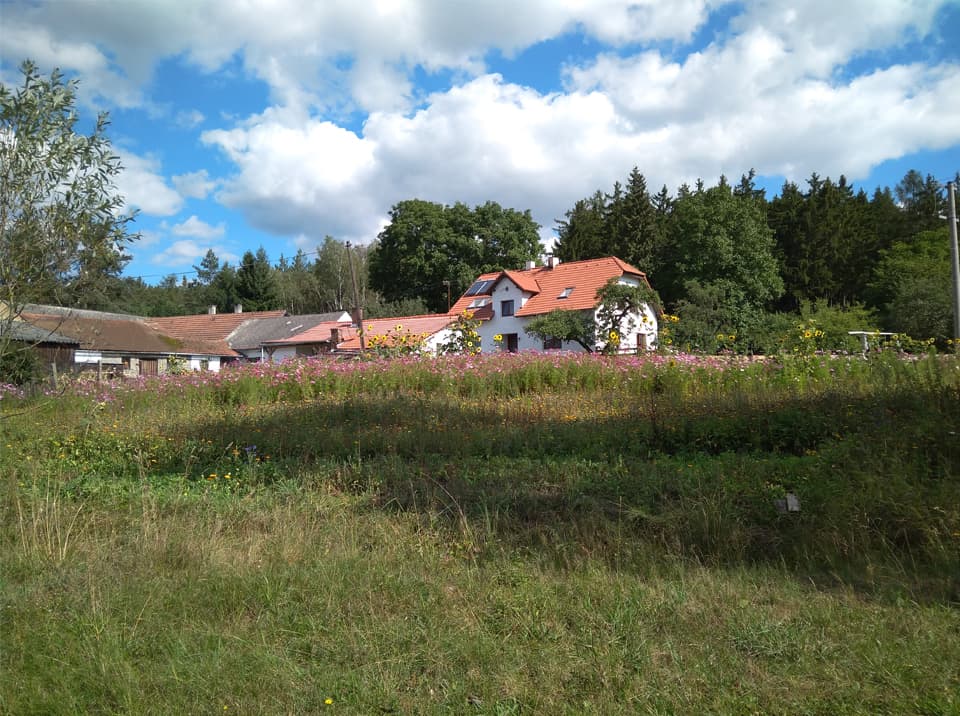 Terra Farma - English course on farm